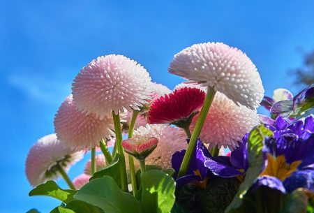 お墓参りの時の花のマナー 飾ってある花があるときはどうしたらいい 日ごろの疑問