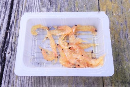 海釣りでの餌の代用品はあるの 日ごろの疑問